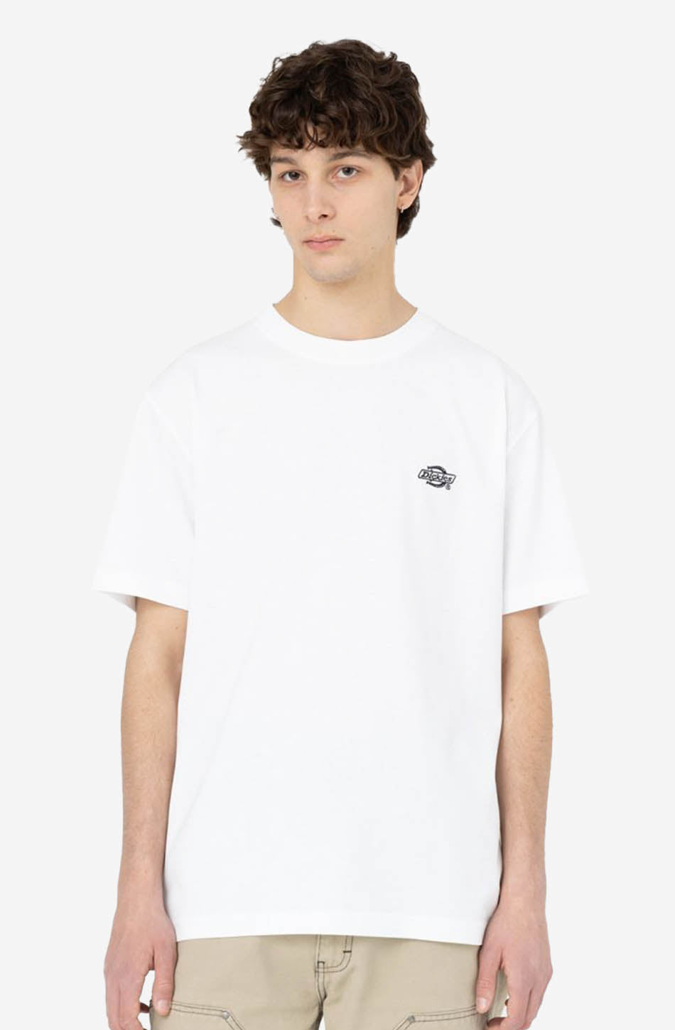 Camiseta Dickies Summerdale White