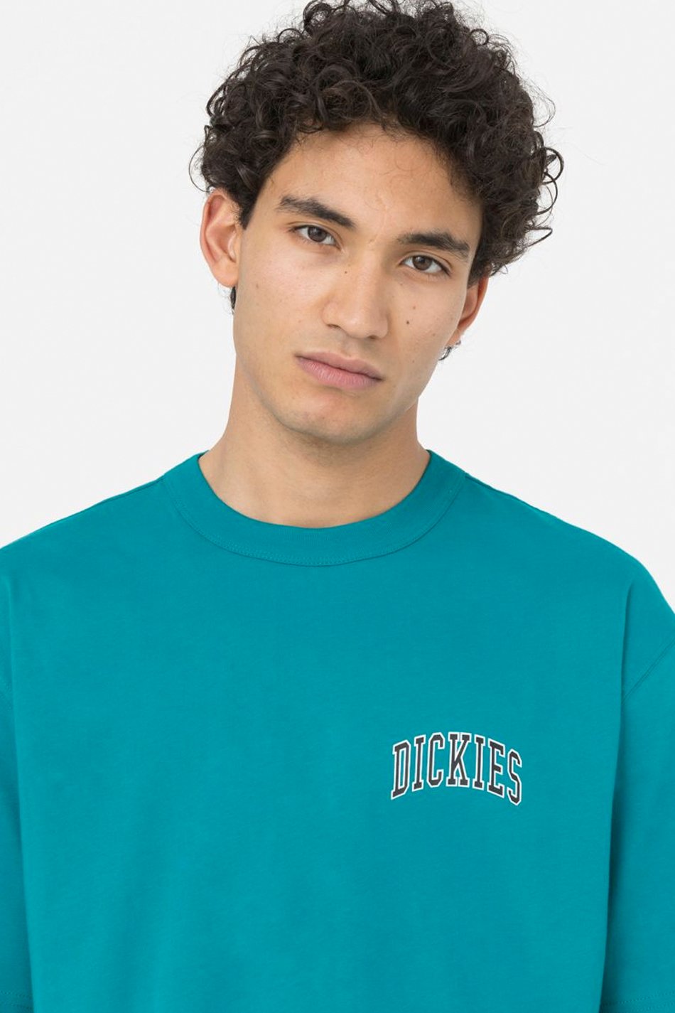 Tee-shirt Dickies Aitkin Chest SS Deep